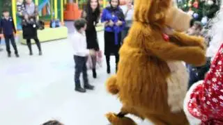 Медведь исполняет