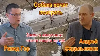 О злых и добрых собаках и людях