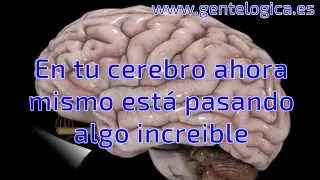 Gente lógica