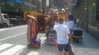 Bees Swarming on 5th Ave in Manhattan