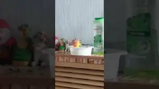 Птичка купаться любит