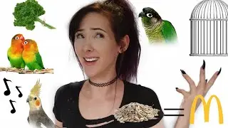 Debunking Parrot Myths That Beginner Parrot Owners Hear ALL THE TIME!!!!!!