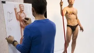 Александр Рыжкин об этапах рисования. Шестая часть, о мужской фигуре
