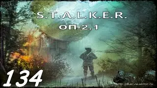 Прохождение. S.T.A.L.K.E.R. Народная Cолянка+ОП 2.1 