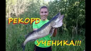 Рекордный судак ученика!!!