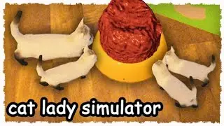 A totally normal cat lady simulator