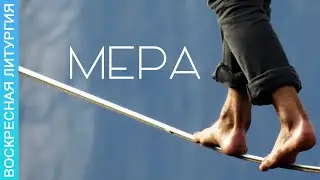 Мера