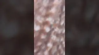 «Храбрая сердцем» 🔥 