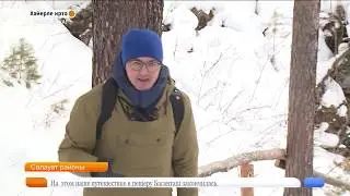 Хаерле иртэ! Доброе утро!