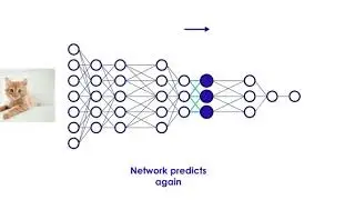 neural networks animation