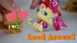 LPS || Look Around // Ep. 2 (Mini Series)