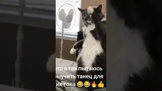 Я пытаюсь выучить Танец для тик тока