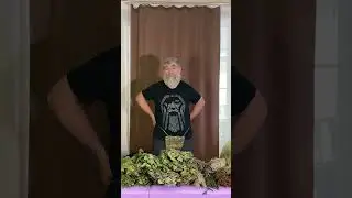 Паховый веник или травяные плавки //Иван Бояринцев