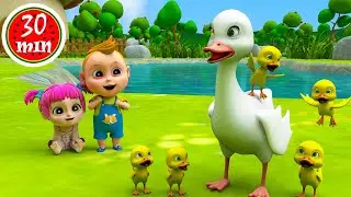 Five Little Duckling Song | Animals Old MacDonalds | Kindergarten Kids Songs & Nursery Rhymes