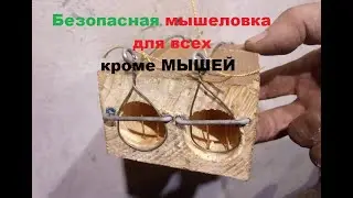 Самая безопасная для детей и животных мышеловка.