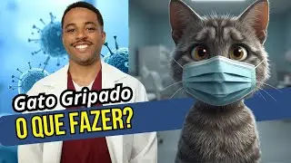 Meu GATO está ESPIRRANDO.O que fazer?
