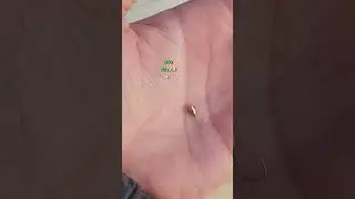 универсальная мормышка 