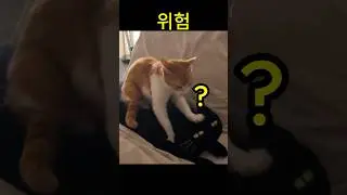 사람들이 잘 모르는 꾹꾹이의 위험성