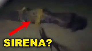 Video A Cui NON CREDERAI CON I TUOI OCCHI
