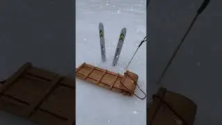 Does your HAMSTER NEED SKIS? ⛷️ ❄️