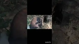 Вещи бойца 