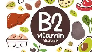 Vital Vitamins  Your Body's Nutrient Nec 2023 12 10