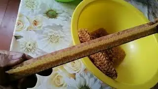Гомогенат. Как перевести.