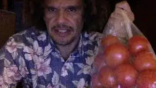 Tomatoes