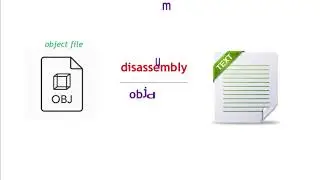 Assembly, object file, binary, hexadecimal, disassembly, architecture and i8086