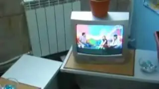 Лолита Быстрова на канале ЦАО