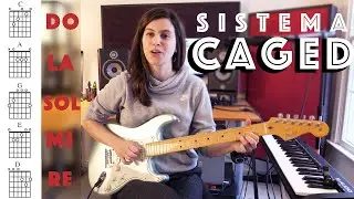 Introducción al SISTEMA CAGED
