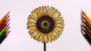 🤩How to draw Sunflower🌻easily| Mou's art academy | #beginners#stepbystep#easy#trending#viral#colours
