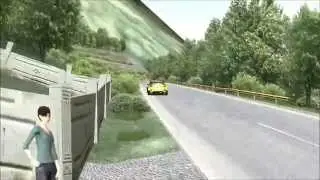 Vukasovic Racing Team / Valentino Panizic / Fiesta1.6T / BSR