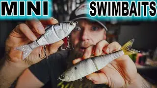 They Sent Me Unreleased Mini Swimbaits!!!