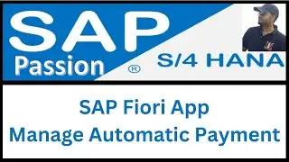 SAP - Fiori App - Manage Automatic Payment