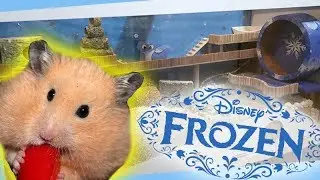 Hamster FROZEN 2 🐹 GEHEGE DIY 🐾 Zubehör & Aufbau🎬