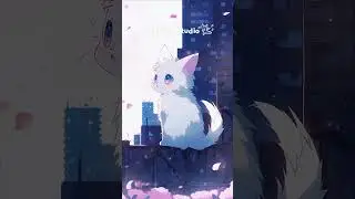 🌆Bright City Vibes | 🐾Cozy Cat Lo-fi for Chill Moments🎶