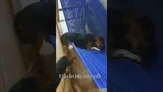 Dáng ăn kiêu sa của Su Khói