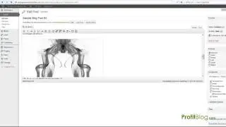 How to Add a Border and Resize an Image in WordPress