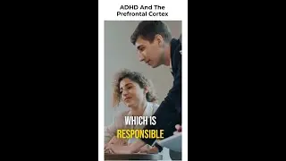 ADHD And the Prefrontal Cortex #shorts