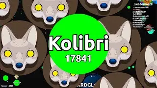 Revenge Tactics in Agar.io: Outsmarting Your Opponents! Agario Solo Gameplay