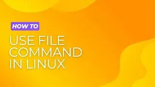 How to Use File Command in Linux