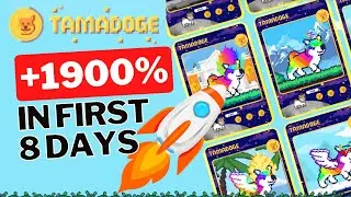 Tamadoge Pumps Over 1900% Since Presale