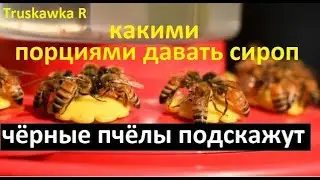 #Bees