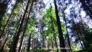Artem ft. Yga - Metai nudaze plaukus