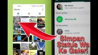 3 Ways to Save WhatsApp Status to Gallery