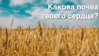 Проповедует Рудой Эдуард: Какова почва твоего сердца?