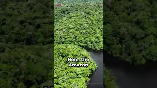 Battle of the Giants Nile vs Amazon.......