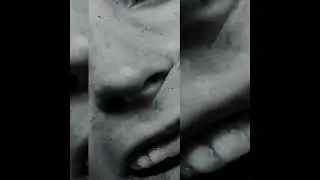 plantcham // experimental type beat - "TO FEEL ALIVE"