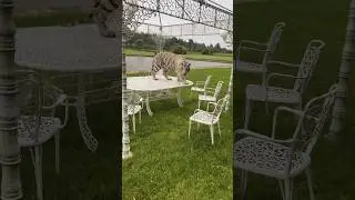 Ребят, как отучить кошку ходить по столу?